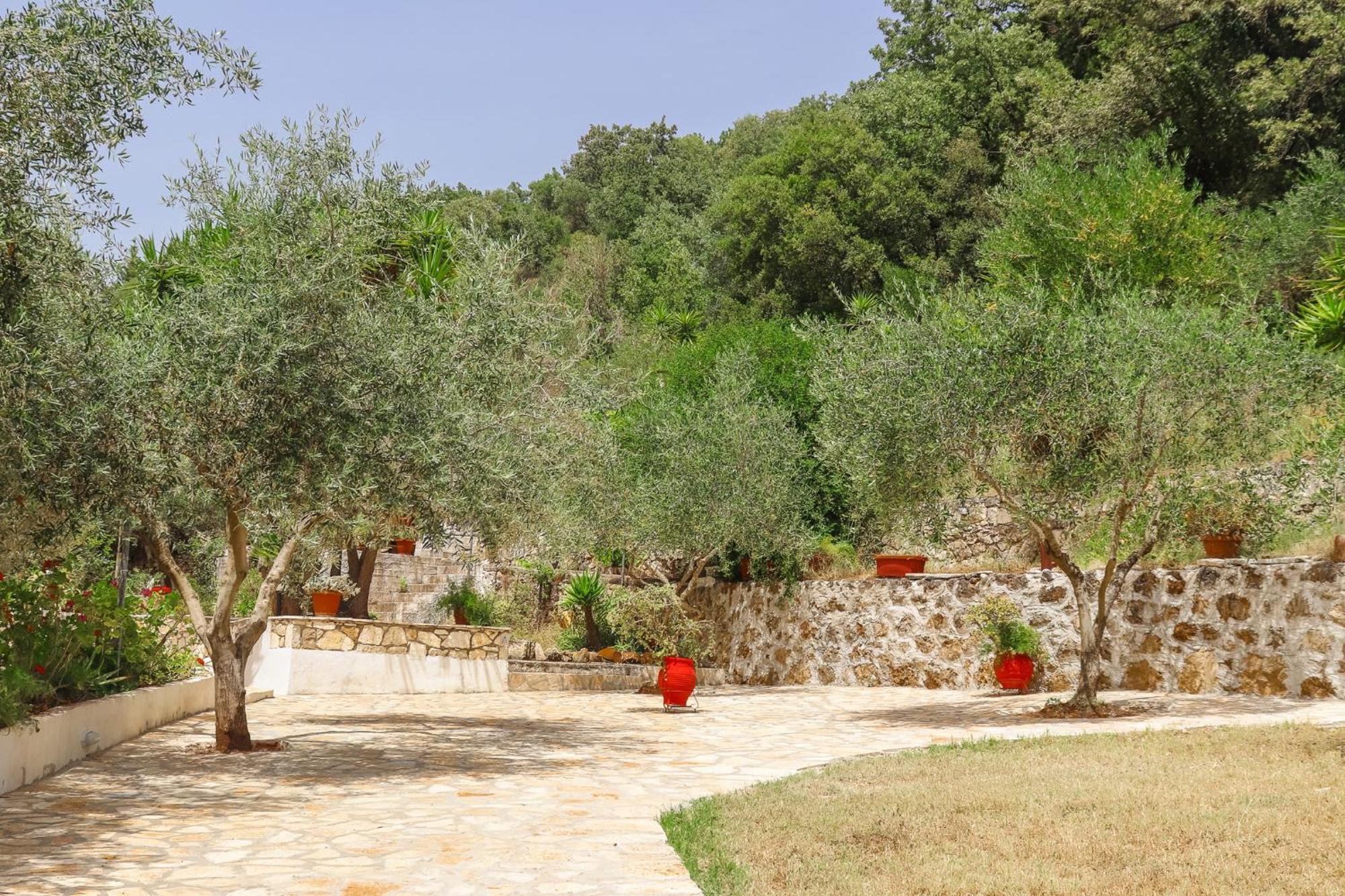 Villa Sissy Studios & Apartments Sivota  Exterior photo