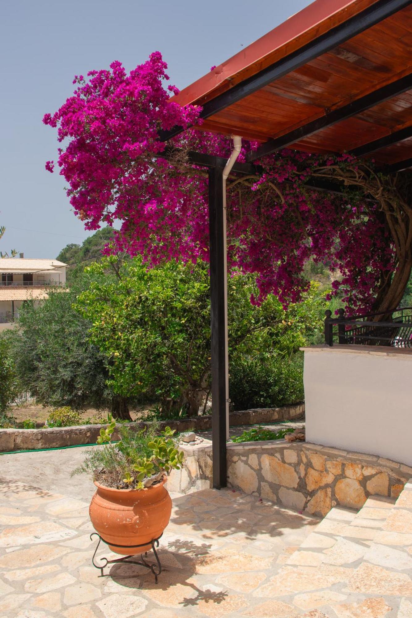 Villa Sissy Studios & Apartments Sivota  Exterior photo
