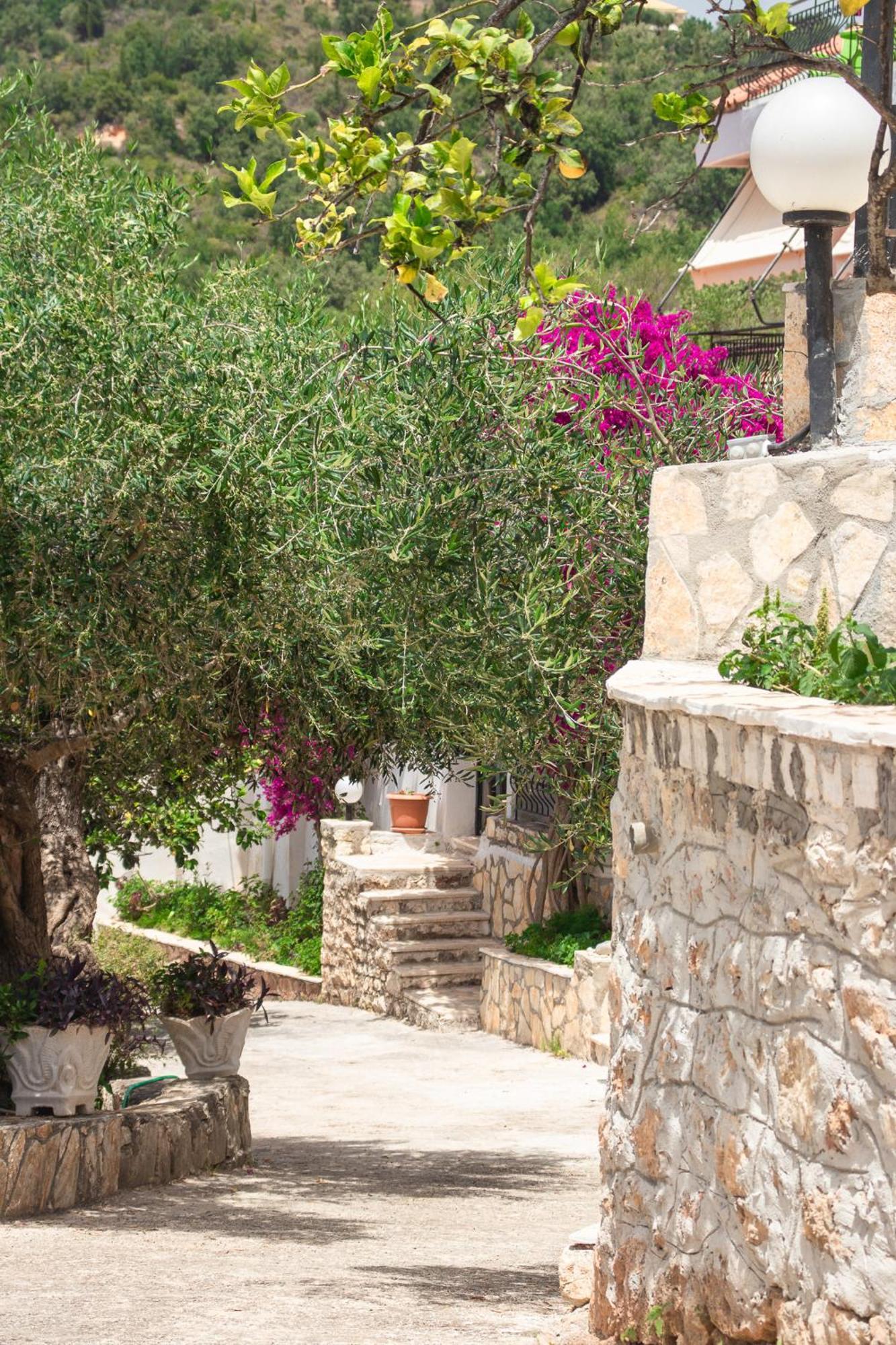 Villa Sissy Studios & Apartments Sivota  Exterior photo